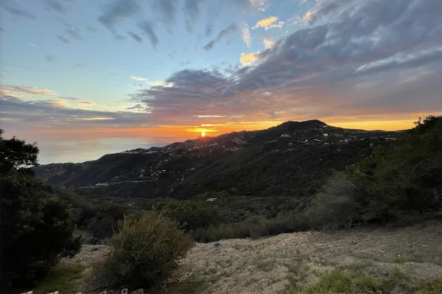 Malibu Detox