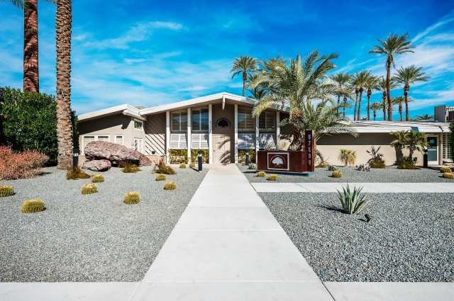 Banyan Palm Springs