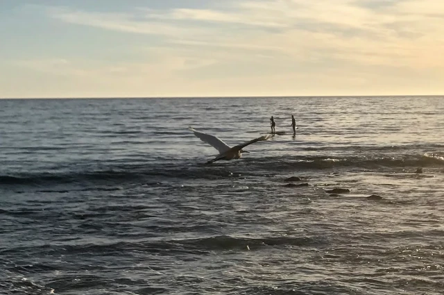 Oceanside Malibu Addiction Treatment Center