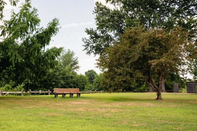 Paramount Wellness Connecticut Drug & Alcohol Rehab