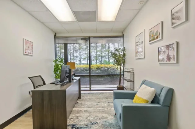 Southeast Addiction Center Atlanta Drug & Alcohol Rehab