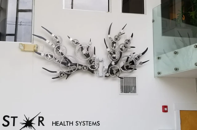 North Star Health Systems