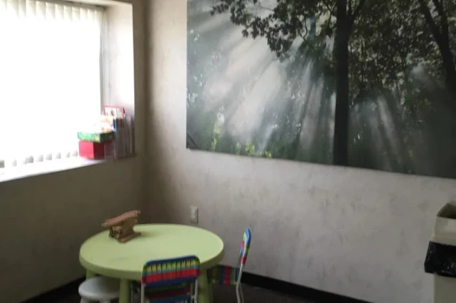 CleanSlate Centers