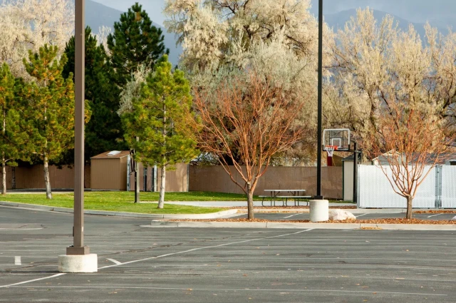 Davis Behavioral Health