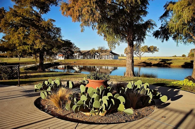 Healing Springs Ranch