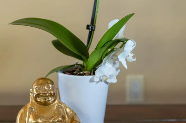 Jaywalker Lodge - Outpatient Program