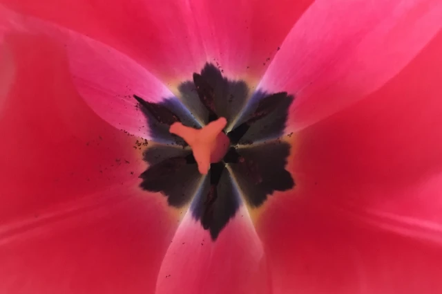 Moment to Moment Healing Alternatives