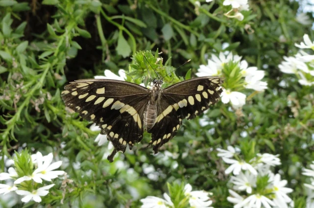 Moment to Moment Healing Alternatives
