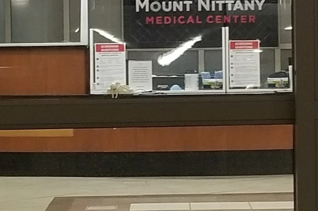 Mount Nittany Medical Center - Behavioral Health Unit
