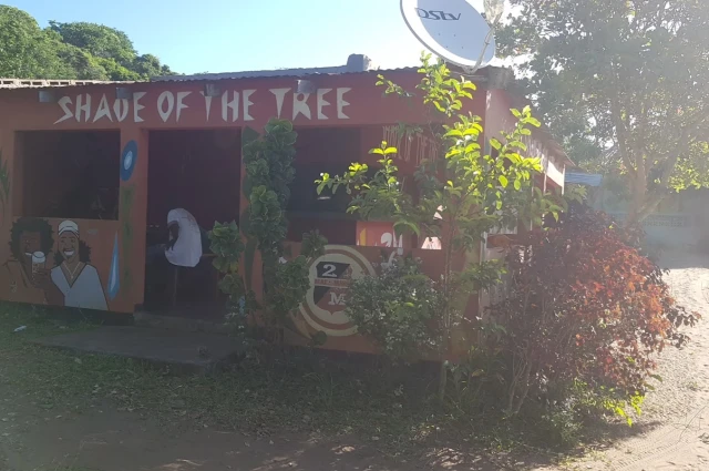 Shade of the Tree 1601 Keokuk Avenue
