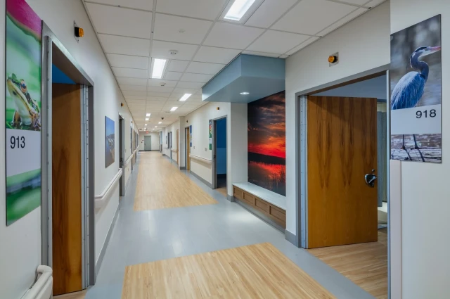 Lakeview Center for Mental Health and Wellness