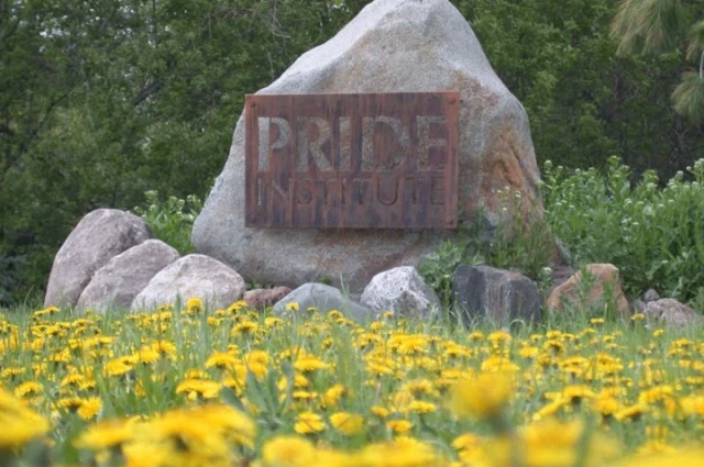 Pride Institute