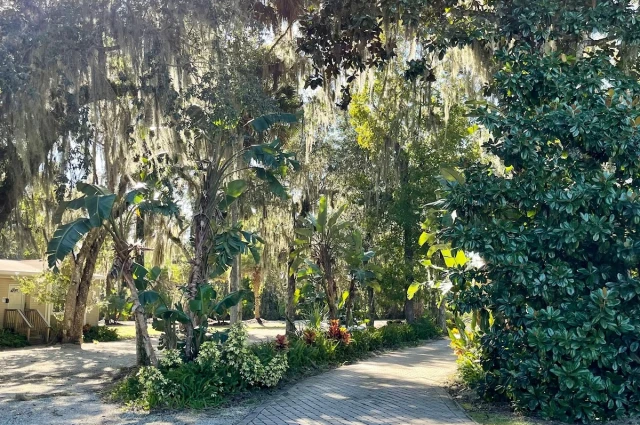 Serenity Springs Recovery Center