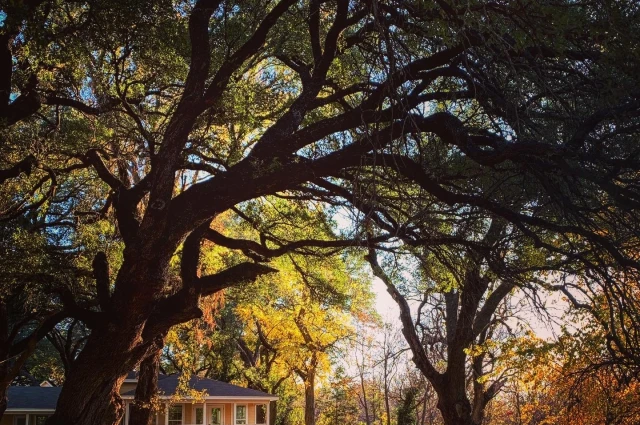 Shades of Hope Treatment Center