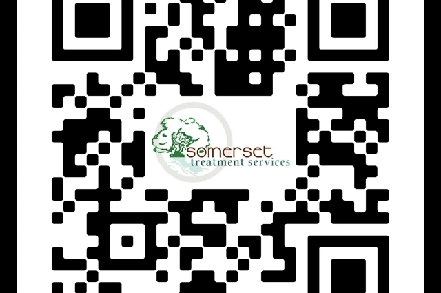 Somerset Treatment Services