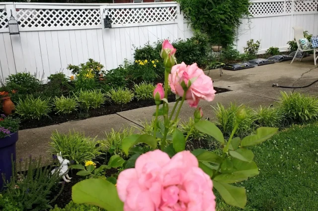 Volunteers of America Fresh Start Recovery Center - Fresh Start Recovery Center