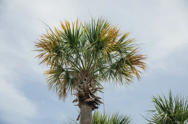 JourneyPure Emerald Coast - Outpatient