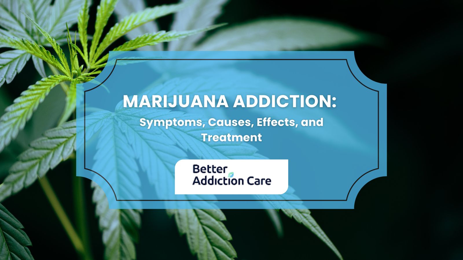 Marijuana Addiction: Symptoms, Causes, Effects, and Treatment Marijuana Addiction: Symptoms, Causes, Effects, and Treatment