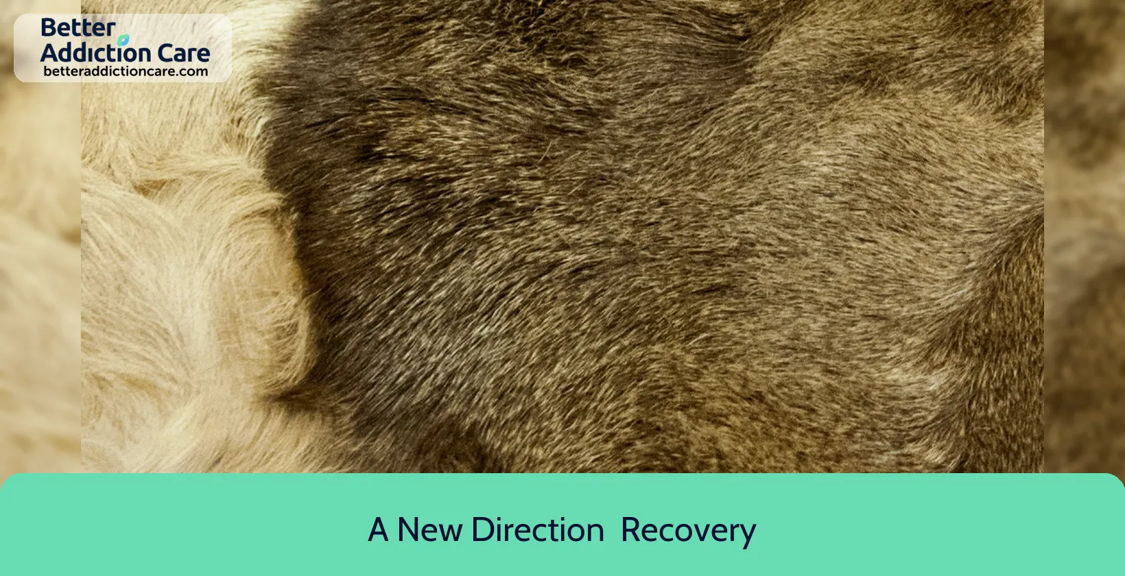 A New Direction 8686 South 1300 1 A New Direction 8686 South 1300 1