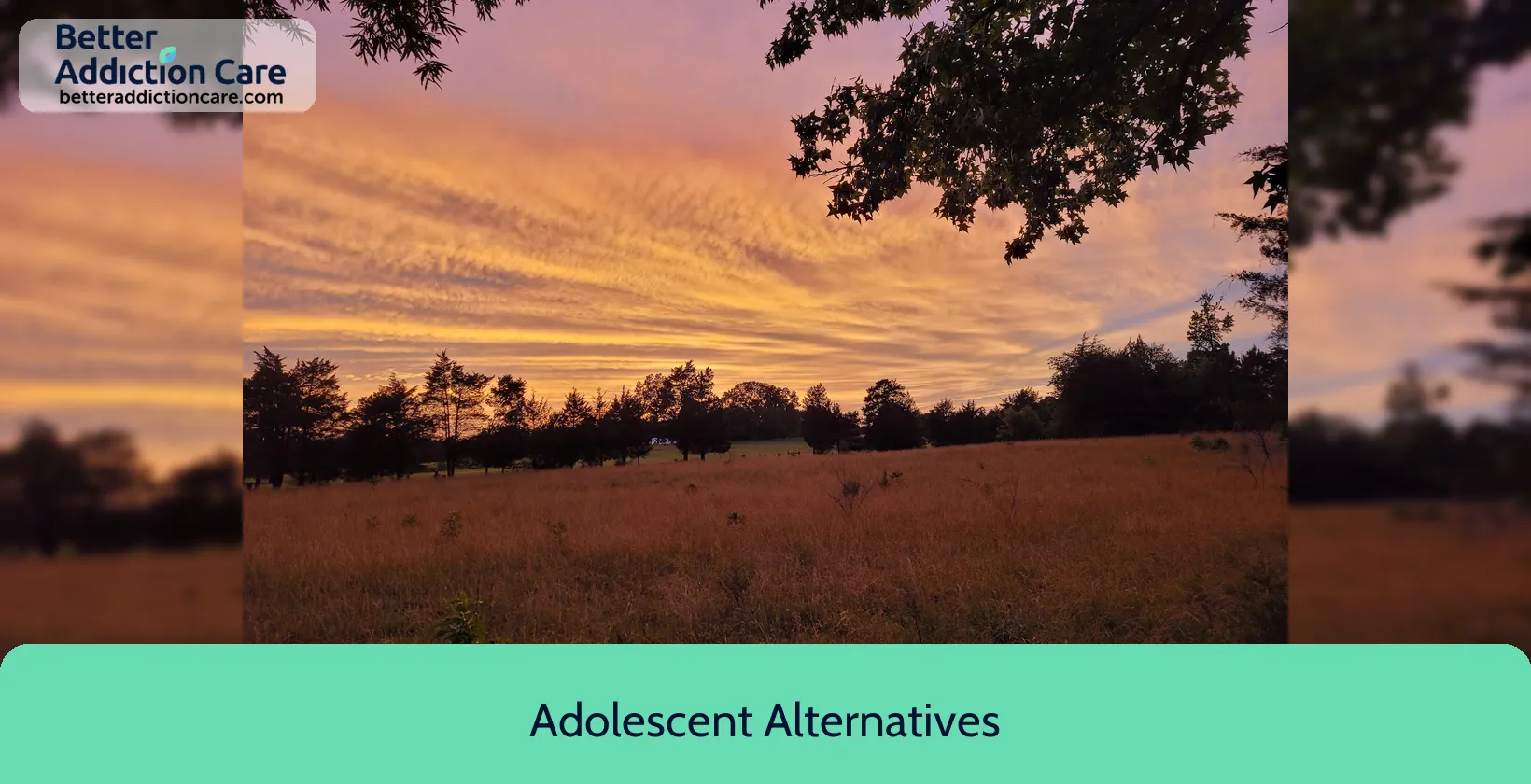 Adolescent Alternatives 2207 Longbrook Drive 1 Adolescent Alternatives 2207 Longbrook Drive 1