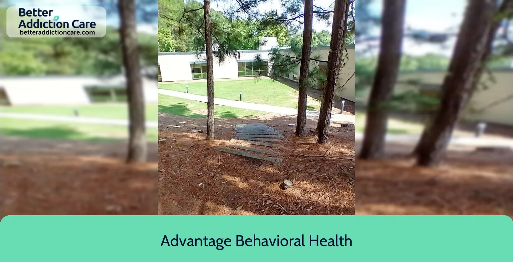 Advantage Behavioral Health 240 Mitchell Bridge 2