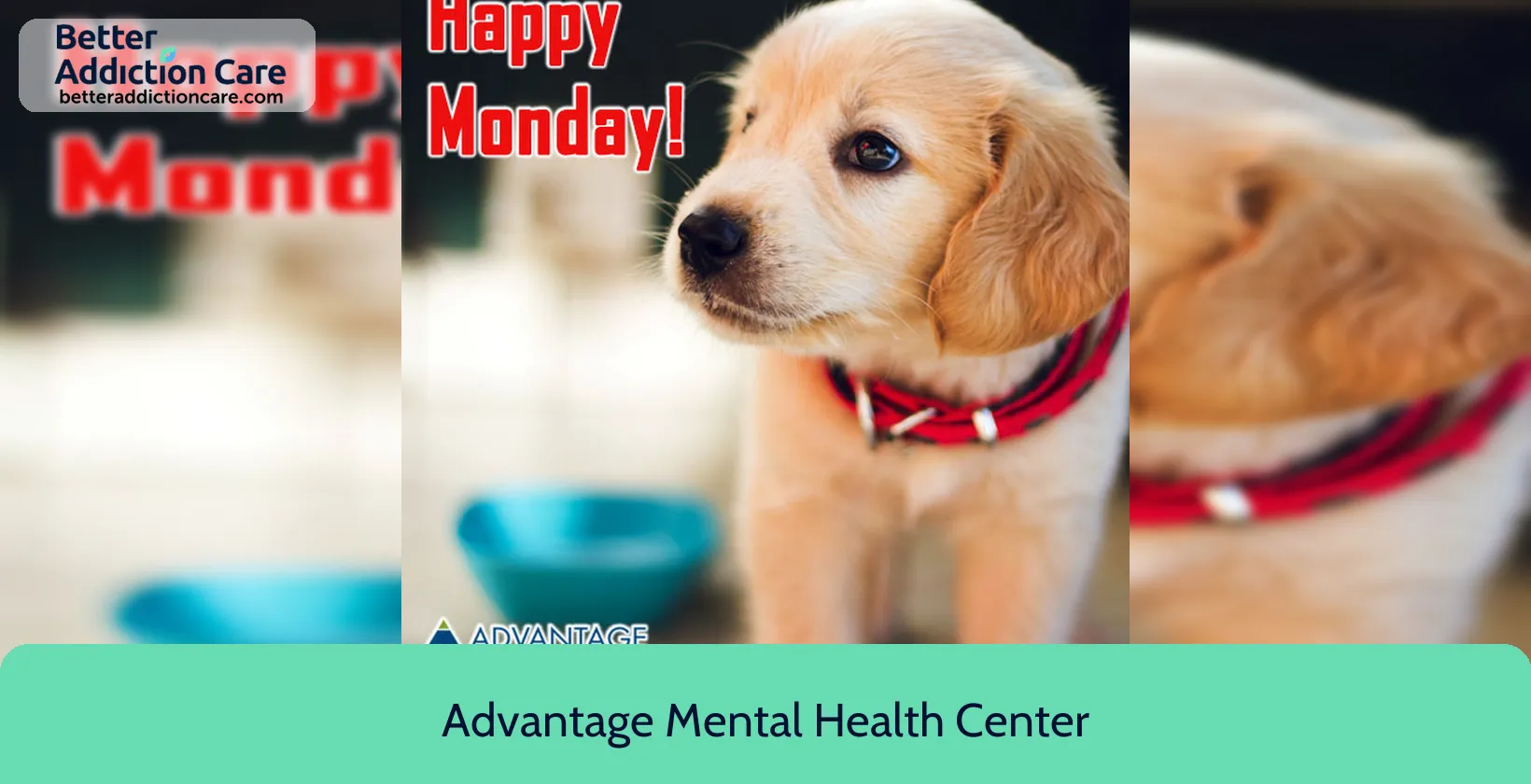 Advantage Mental Health 28465 Us Hwy 10