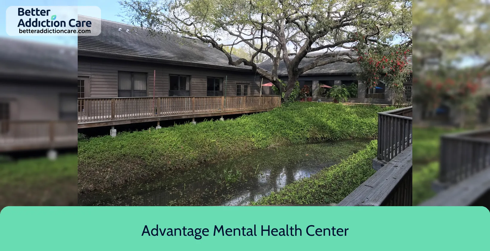 Advantage Mental Health 28465 Us Hwy 4