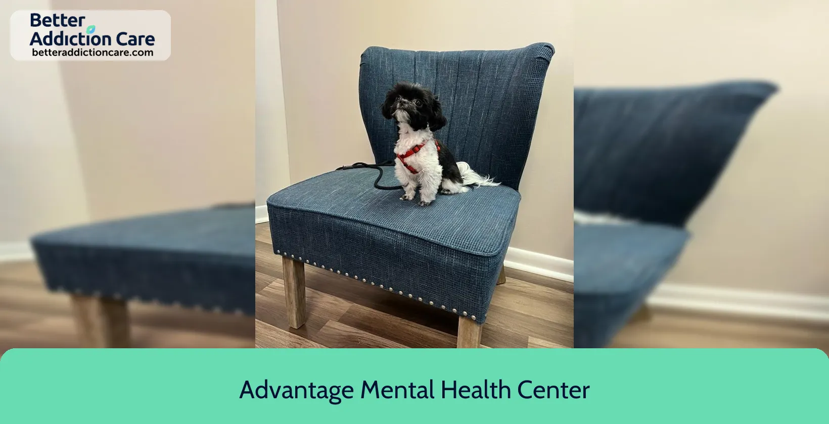 Advantage Mental Health 28465 Us Hwy 6