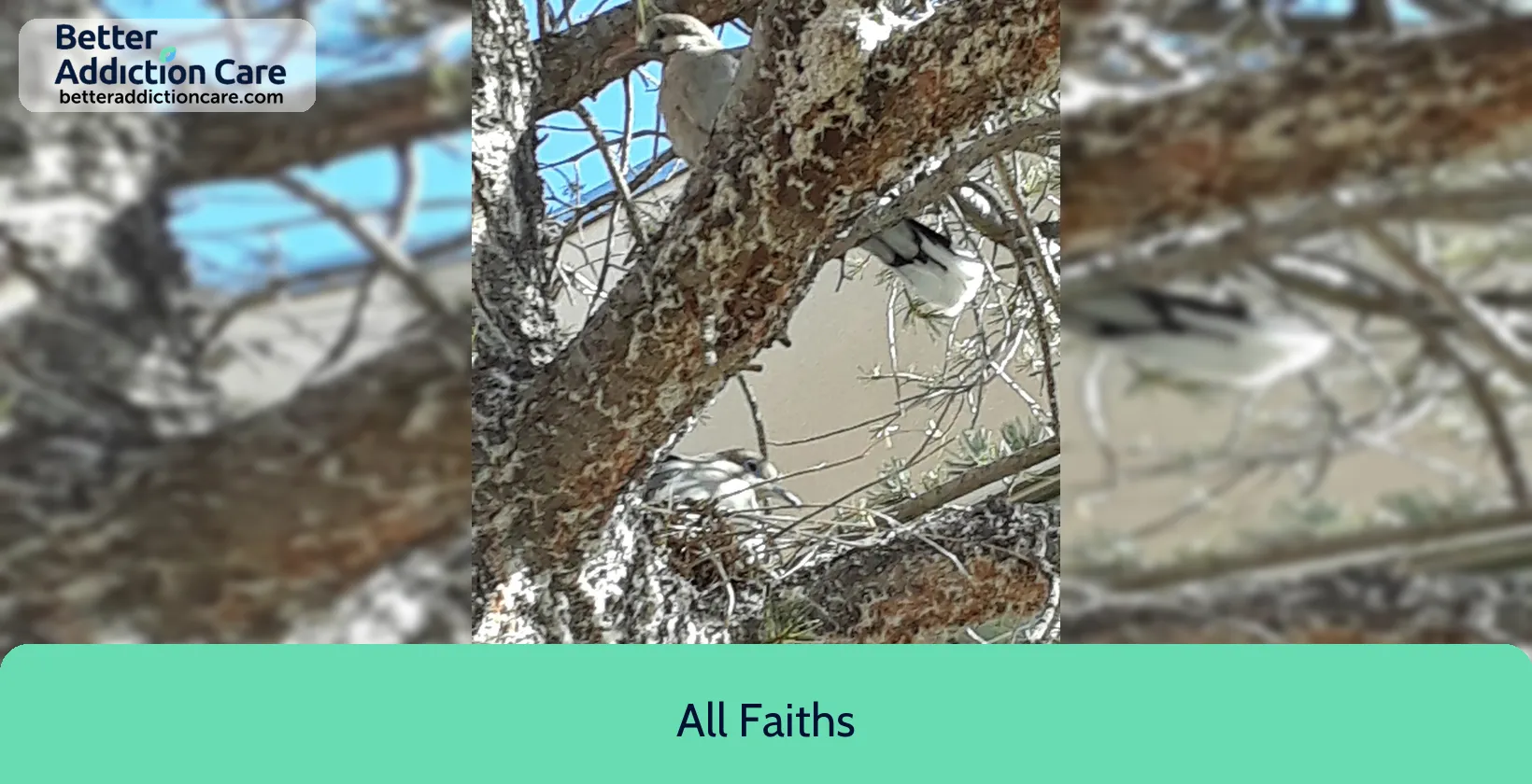 All Faiths 1709 Moon Street 1 All Faiths 1709 Moon Street 1