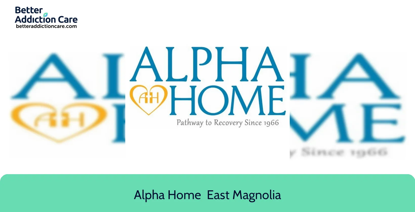 Alpha Home 419 East Magnolia 1 Alpha Home 419 East Magnolia 1