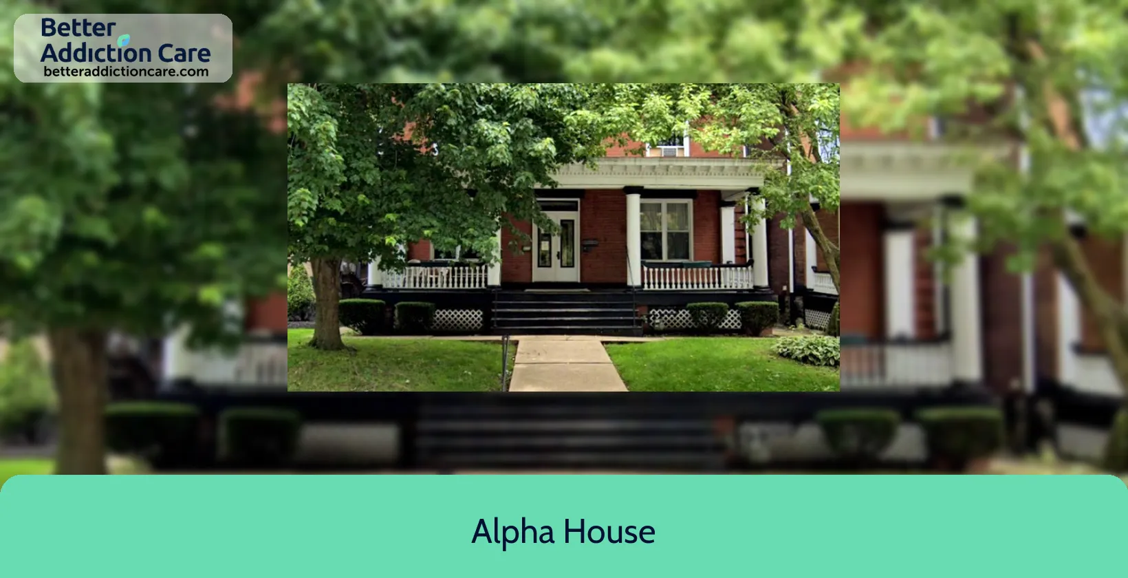 Alpha House 435 Shady Avenue 1 Alpha House 435 Shady Avenue 1