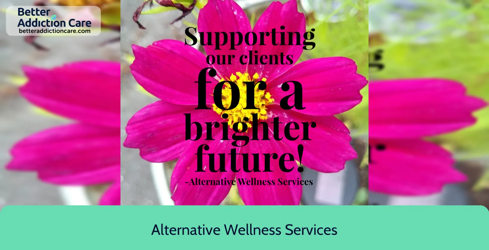 Alternative Wellness Services 280 Main Street 1 Alternative Wellness Services 280 Main Street 1