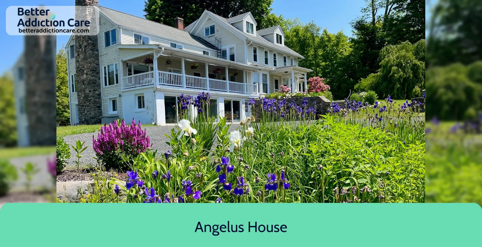 Angelus House 158 Flanders Road 1 Angelus House 158 Flanders Road 1
