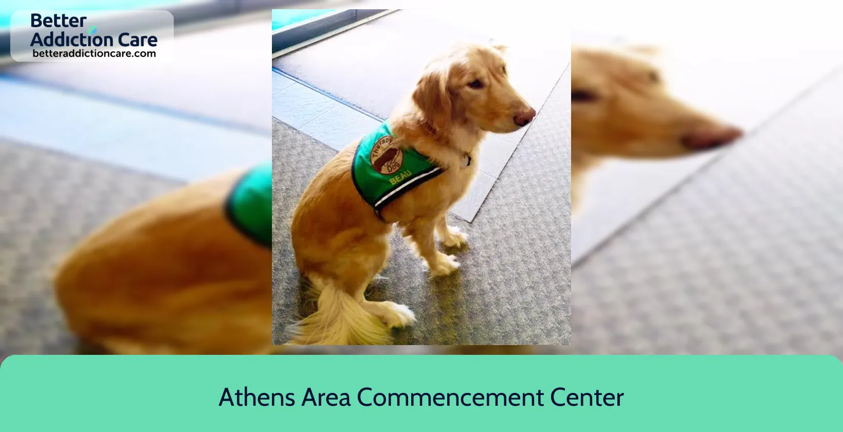 Athens Area Commencement 1175 Mitchell Bridge 1 Athens Area Commencement 1175 Mitchell Bridge 1