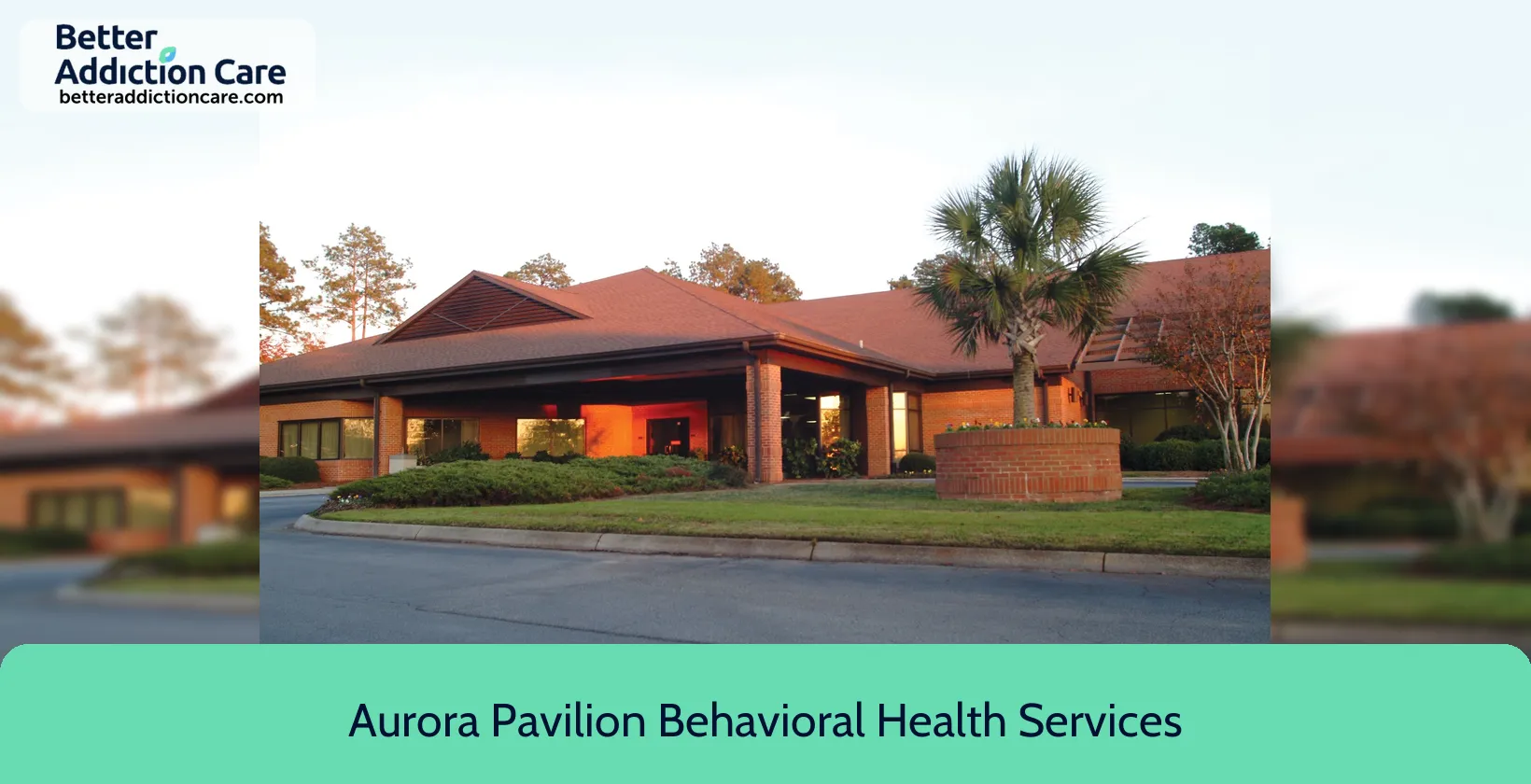 Aurora Pavilion Behavioral 655 Medical Park 1 Aurora Pavilion Behavioral 655 Medical Park 1