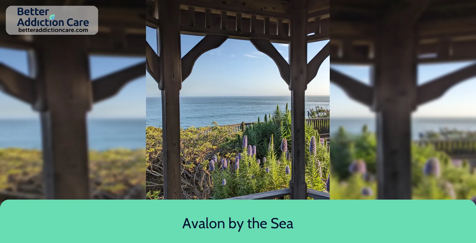 Avalon by the 32420 Pacific Coast 1 Avalon by the 32420 Pacific Coast 1