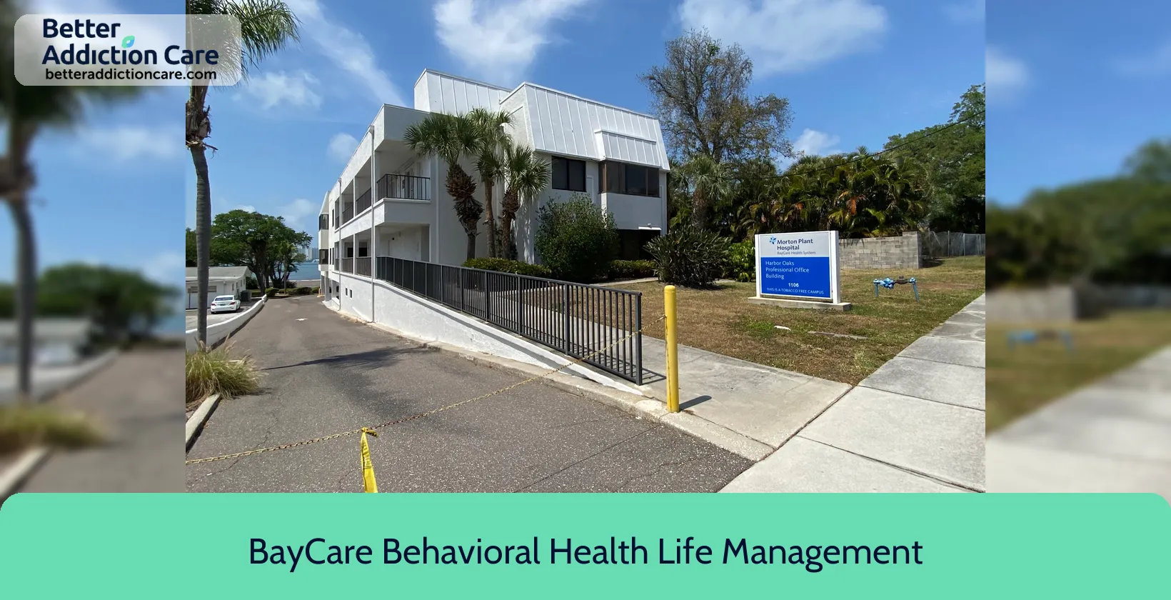 BayCare Behavioral Health- 1106 Druid Road 1 BayCare Behavioral Health- 1106 Druid Road 1