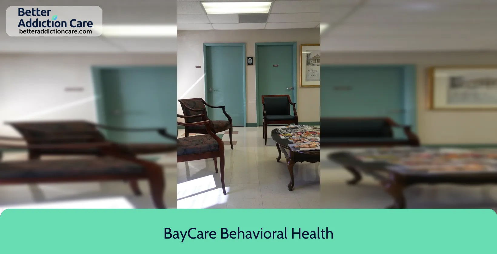BayCare Behavioral Health 7809 Massachusetts Avenue 1 BayCare Behavioral Health 7809 Massachusetts Avenue 1