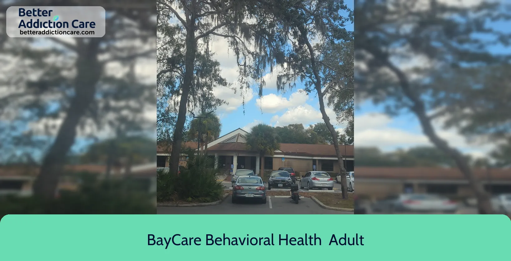 BayCare Behavioral Health 8002 King Helie 1 BayCare Behavioral Health 8002 King Helie 1