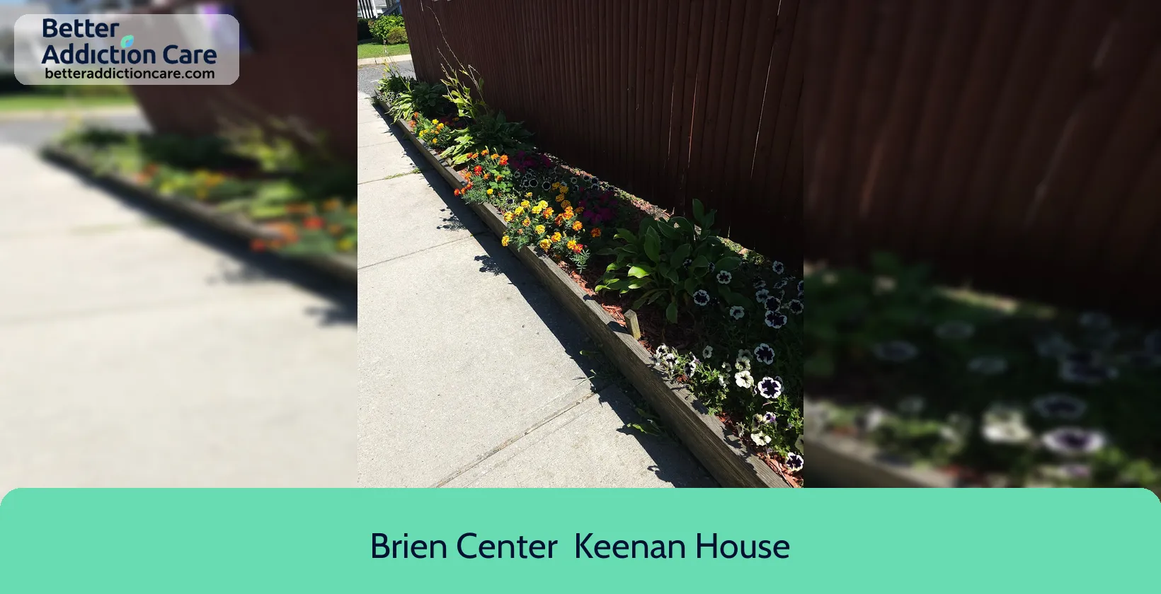 Brien Center 202 Bradford Street 1 Brien Center 202 Bradford Street 1