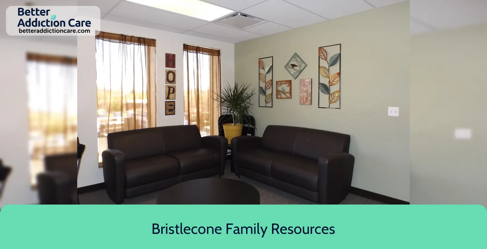 Bristlecone Family Resources 704 Mill street 1 Bristlecone Family Resources 704 Mill street 1