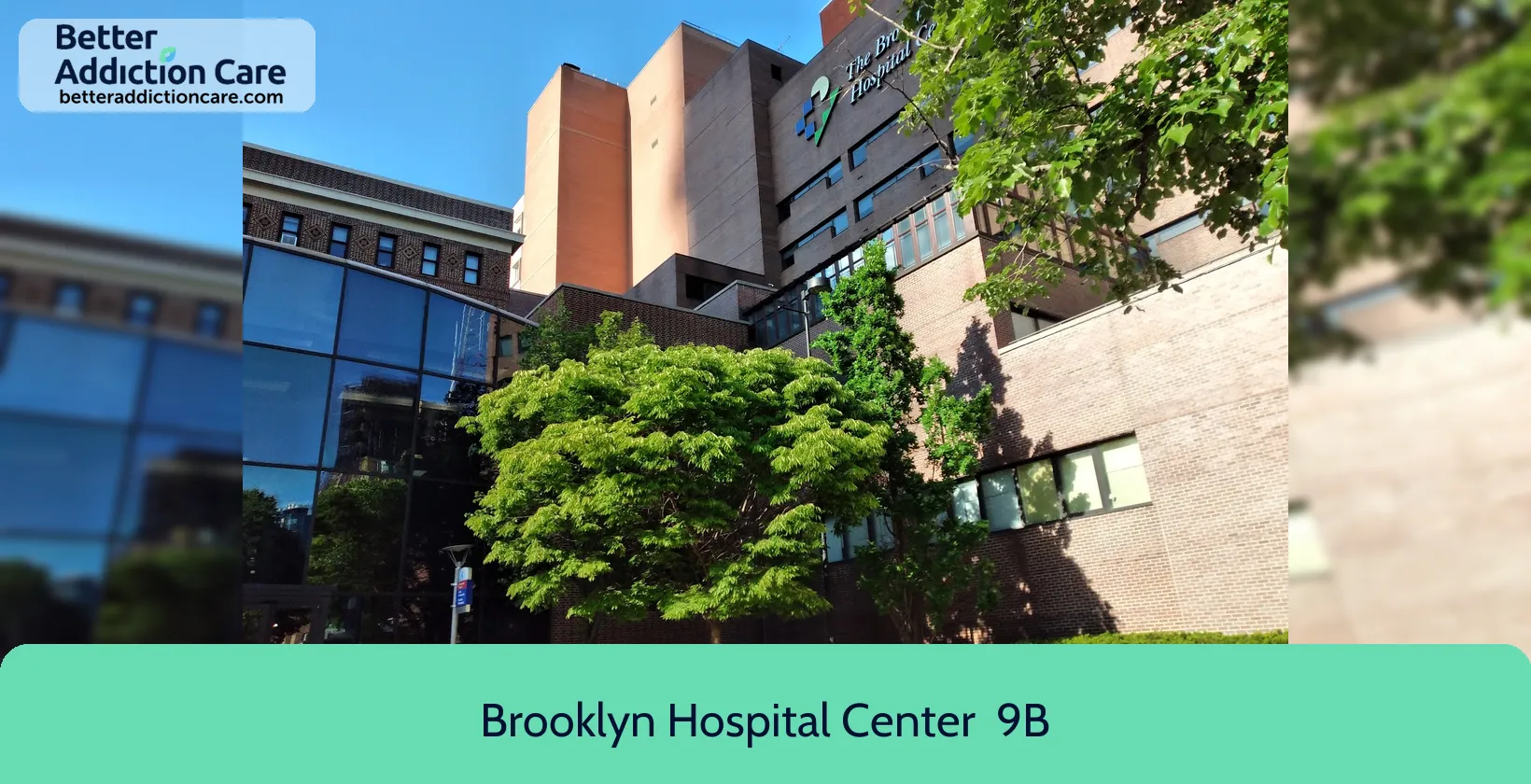 Brooklyn Hospital Center 121 Dekalb Avenue 1 Brooklyn Hospital Center 121 Dekalb Avenue 1