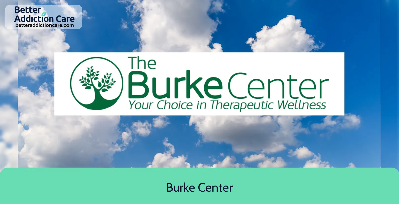 Burke Center 70 Hollow Crest 1 Burke Center 70 Hollow Crest 1