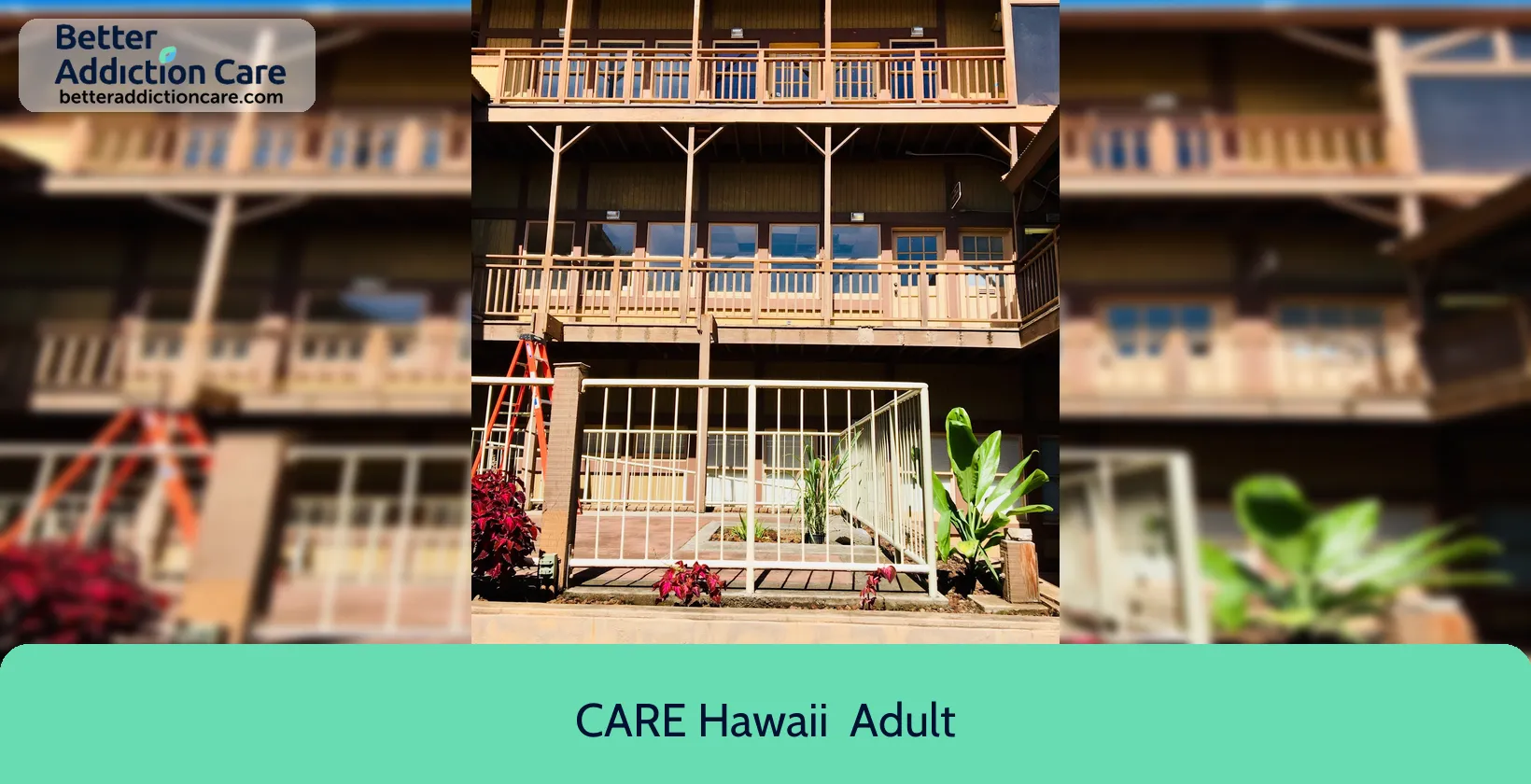 CARE Hawaii 33 North Market 1 CARE Hawaii 33 North Market 1