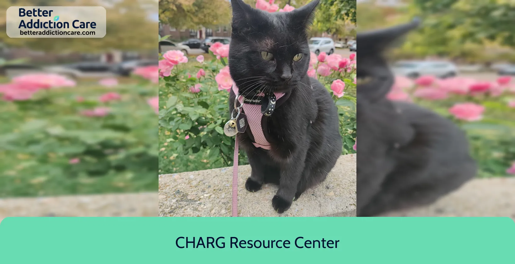 CHARG Resource Center 709 East 12th 1 CHARG Resource Center 709 East 12th 1