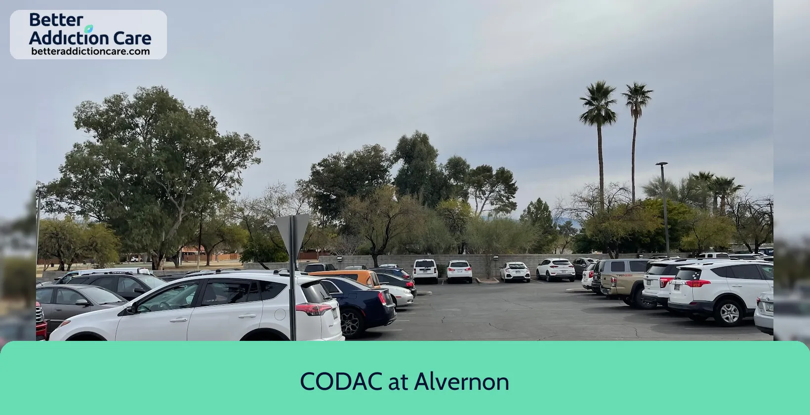 CODAC at Alvernon 630 North Alvernon 1 CODAC at Alvernon 630 North Alvernon 1