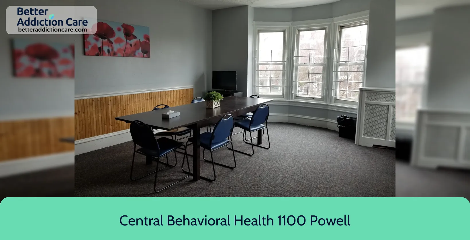 Central Behavioral Health 1100 Powell Street 1 Central Behavioral Health 1100 Powell Street 1