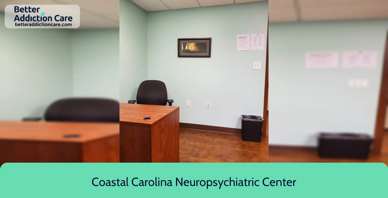 Coastal Carolina Neuropsychiatric 200 Tarpon Trail 1 Coastal Carolina Neuropsychiatric 200 Tarpon Trail 1