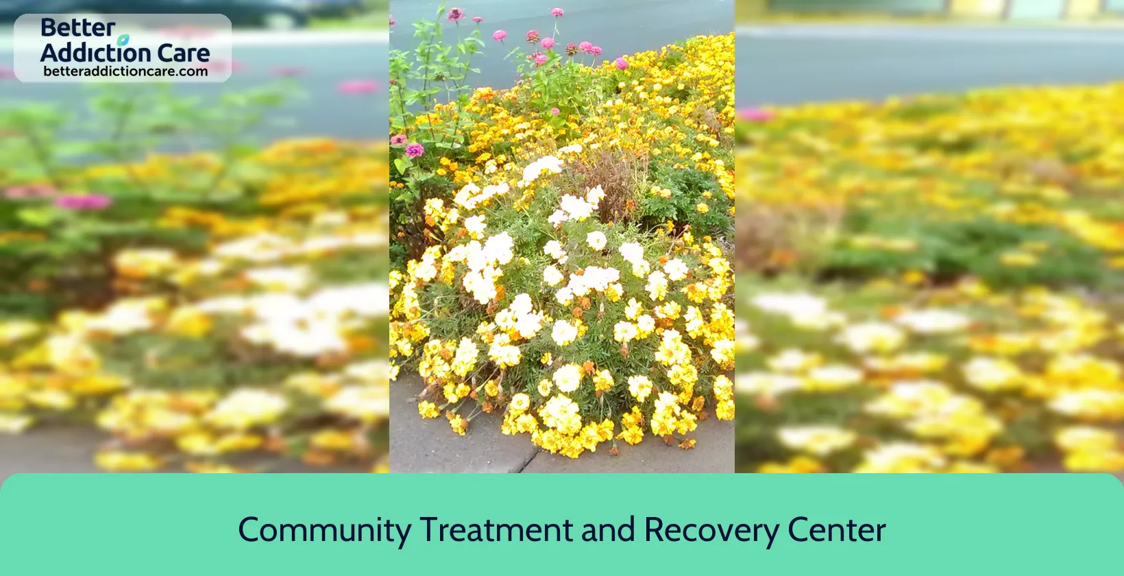 Community Treatment and 114 Clinton Street 1 Community Treatment and 114 Clinton Street 1