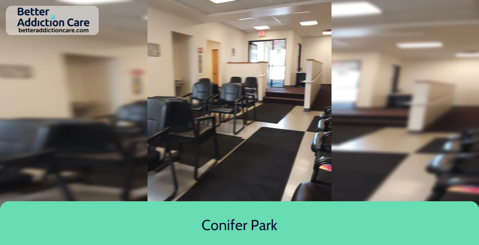 Conifer Park 556 Clinton Avenue 1 Conifer Park 556 Clinton Avenue 1